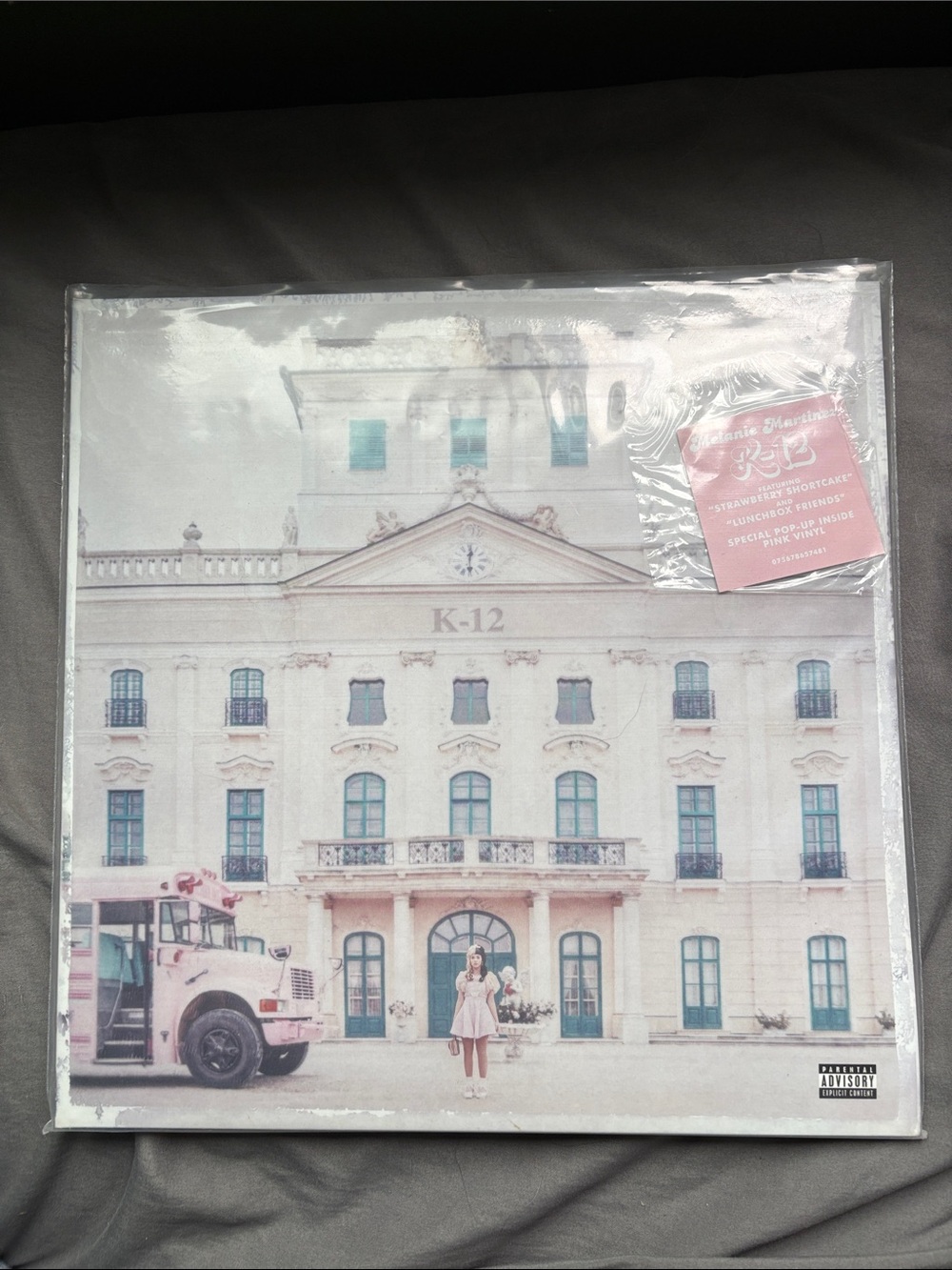 Melanie Martinez K-12 Vinyl Album - Pastel pink